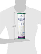 GE FTHLM Whole House Water Filter, Replacement - Image 3