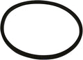 Cav Fuel Filter Seal -Fits International 354 364 Tractor by Unknown