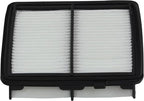 EPAuto GP650 Engine Air Filter Replacement - Image 3