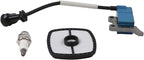 Ignition Coil Spark-Plug and Air Filter Kit - Image 9