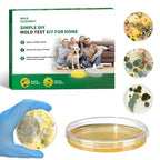 Mold Test Kit for Home by Accecraft