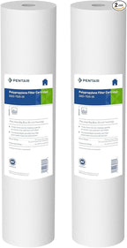 Pentair Pentek DGD-7525-20 Big Blue Water Filter, 20-Inch Whole House Sediment by PENTAIRPENTEK