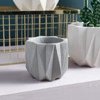 Outdoor Succulent Plantpot Cactus Plant Container Cement Flowerpot Container - Image 4