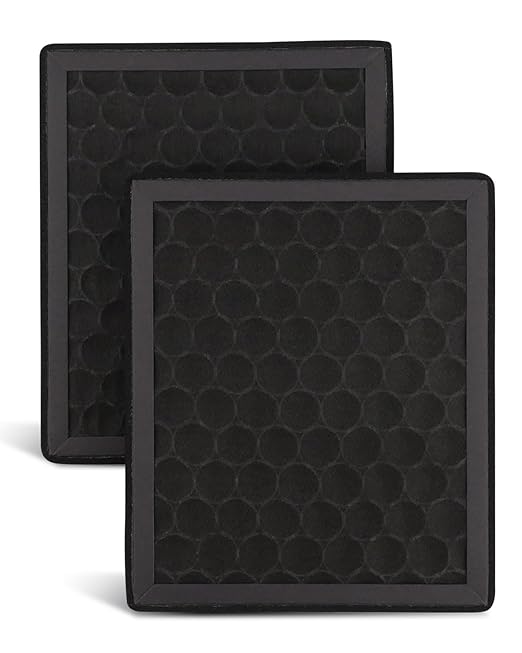 2Pcs Activated Carbon H2D H2S Air Filter Fit by Unknown