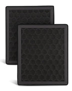 2Pcs Activated Carbon H2D H2S Air Filter Fit by Unknown