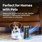 LabCharge Small Ionic Air Purifier - Image 3