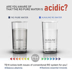 Frizzlife TD-9 Alkaline Remineralization Under Sink Inline Water Filter - Image 4