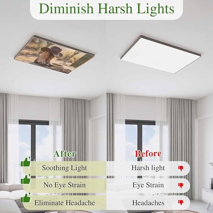 4 Pack Fluorescent Light Cover, Cowboy Western Light Covers - Image 6
