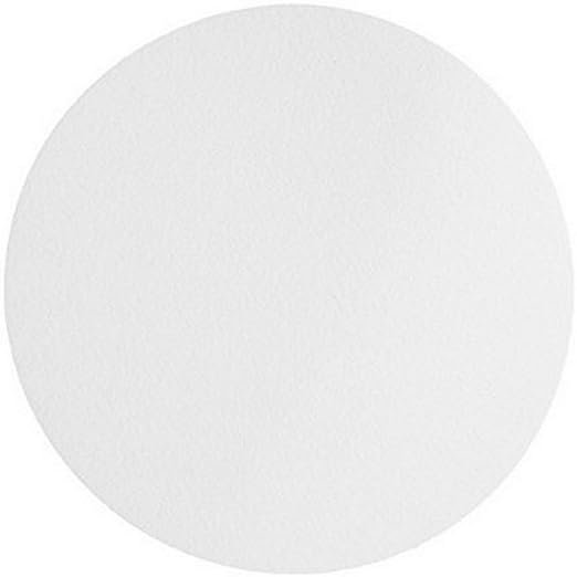 Omicron 170090X Nylon Membrane Circle, 0.45 Micron - Image 3