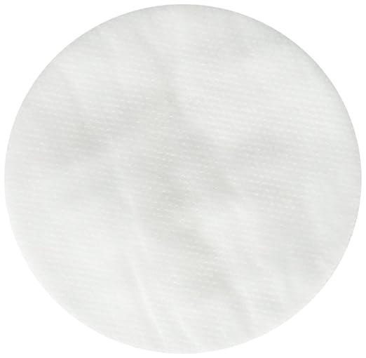 Moldex 8910 N95 Particulate Pre Filters Box 10 Each by Moldex