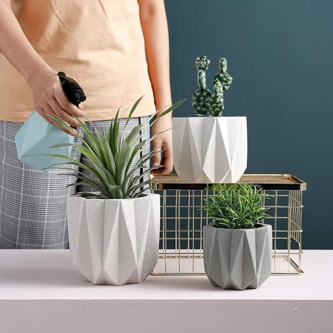Outdoor Succulent Plantpot Cactus Plant Container Cement Flowerpot Container - Image 4