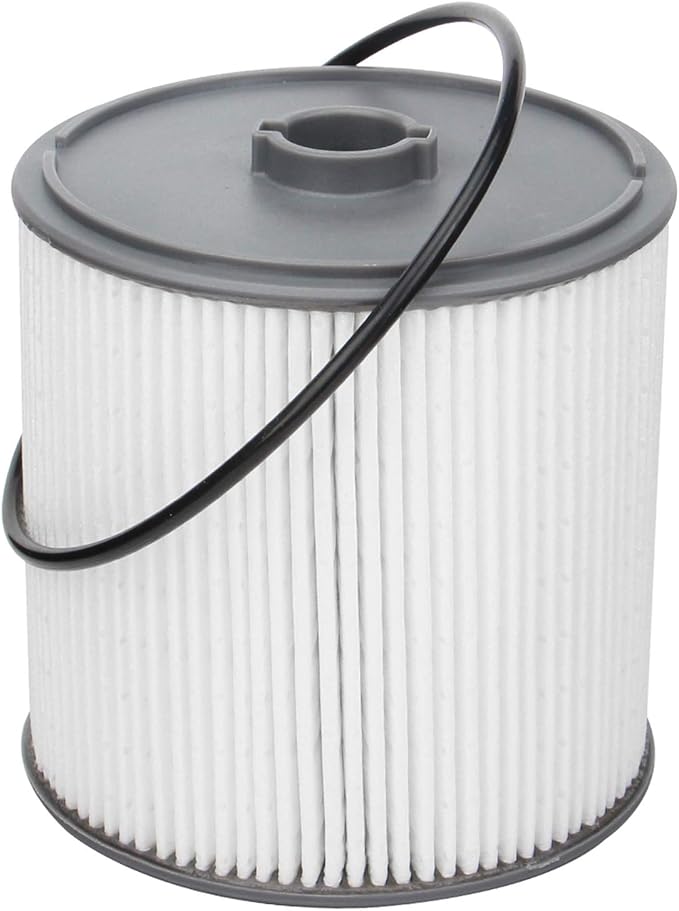 AULDAY Fuel Filter Fits for Ram 2500 3500 4500 5500 6.7L 2019 2020 2021 2022 by Unknown