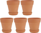 5pcs Red Terracotta Succulent Pots by FONDOTIN