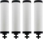 【Upgraded】Renami Ceramic Filter Silver Infused Replacement by Renami