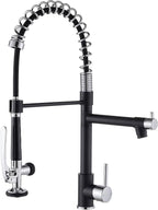 Fapully Kitchen Sink Faucet, Pull Down Kitchen Faucet, Single Handle Single by Fapully