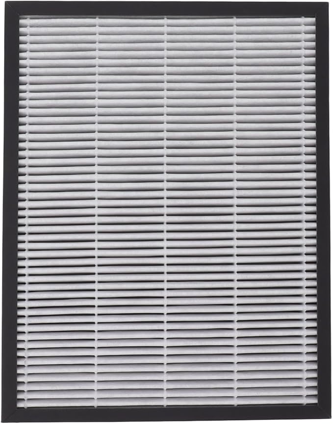 Air Purifier Filter Replacement by Mtlavishness