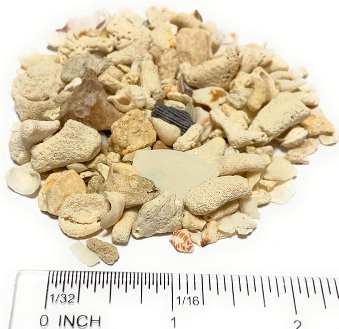 Middle Keys Marine Life LLC Florida Keys Crushed Coral Aquarium Gravel 2.5 LB - Image 2