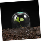 2pcs Small Garden Cloche Clear Plastic Humidity Domes - Image 5