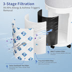 Genuine CleanForce AllerSync MaxPure H13 True HEPA Sanitized Air Filter - Image 3