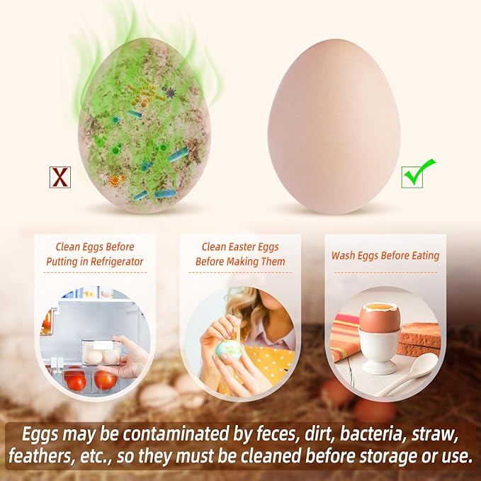 Egg Brush Cleaner, Egg Scrubber Tool - Image 3