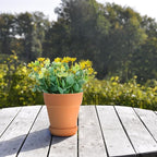 Veemoon 5pcs Red Clay Succulent Flower Pots - Image 5