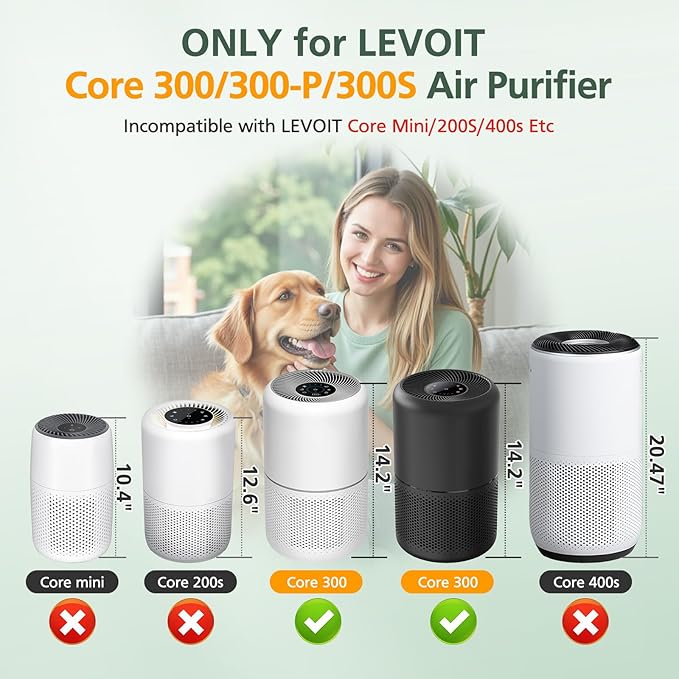 Core 300 Smoke Replacement Filter - Image 2