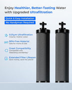Waterdrop Black Water Filter, Replacement - Image 2