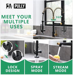 Fapully Black&Gold Kitchen Faucet - Image 4
