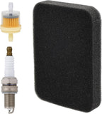 FitBest Air Filter 17211-899-000 + Spark Plug + Fuel Filter by FitBest