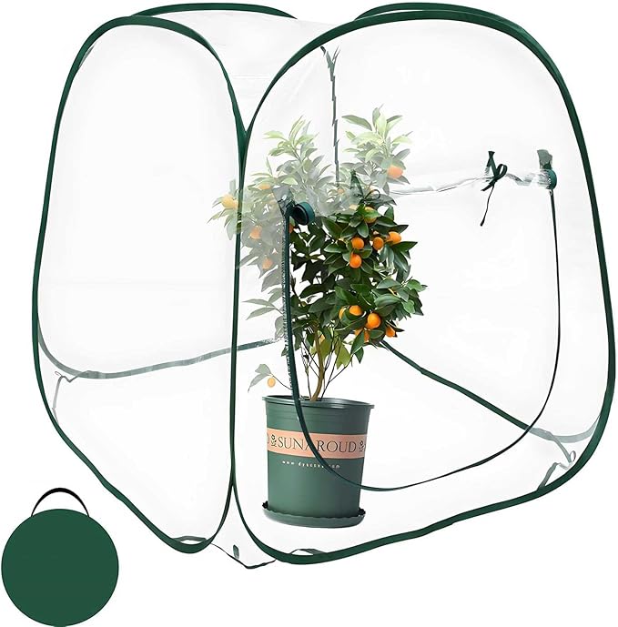 Plant Mini Greenhouse Pop Up Greenhouse Covers, Transparent Freeze Protection by Hkvoxim