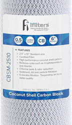 iFilters 0.5-Micron Carbon Block Water Filter – Coconut Shell CTO Drinking - Image 4
