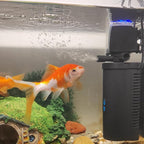 Aquarium U-V Filter 158GPH for 10-45 Gallon Small Betta Fish Turtle Tank by TARARIUM