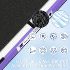FLT4850PT HEPA Filter B Pet Replacement Compatible - Image 5