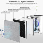 Vital 100 Replacement Filter Compatible - Image 3