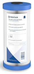 Pentair Pentek R50-BB Big Blue Sediment Water Filter, Whole House Pleated by PENTAIRPENTEK