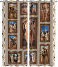 2 Panel Kitchen Cafe Curtains, Desert Camels Sunlight Filtering Nature Air by Hokiten