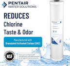 Pentair Pentek RFC-20BB Big Blue Carbon Water Filter, Whole House Heavy Duty - Image 3