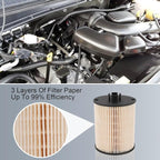 CARMOCAR FD4617 Diesel Fuel Filter replacement - Image 5