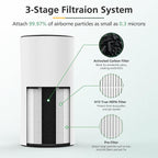 LV-H133 Replacement Filter Compatible - Image 3