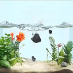 Aqarium Filter Activated Charcoal Aquarium Filter Media Activated Carbon Pellets - Image 5