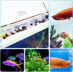 Aquarium Ceramic Ring 420g Bio Ceramic Media Ring - Image 7