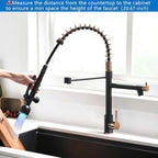 Fapully Commercial Single Handle Pull Down Sprayer Black&Rose Gold Kitchen - Image 5