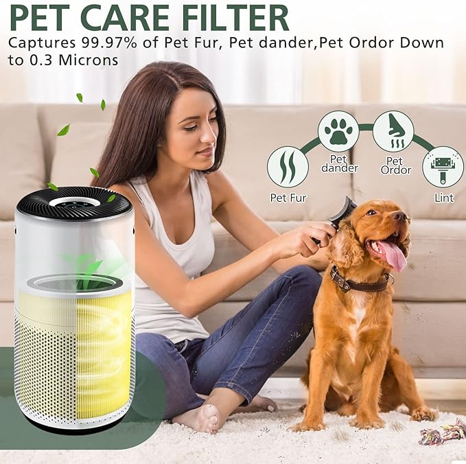 Core 400S Pet Care Replacement Filter - Image 5