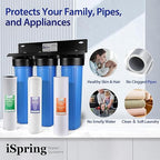 iSpring WGB32B-DS+AHPF12MNPT16X2 Anti-Scale Whole House Water Filter System w/ - Image 6