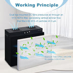 Laminar Flow Hood with H13 HEPA Filter (20"x15"）, FFU Class 100 / ISO 5 Clean - Image 2