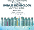 Proteam Spa Filter Clean - Image 6