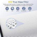 360° Combi Glass H13 Hepa + Activated Carbon Filter Compatible - Image 7