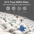 2 Pack PR1 Replacement Filter, Compatible - Image 5