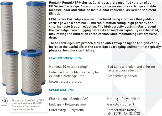 Pentair Pentek EPM-BB Big Blue Carbon Water Filter, Whole House Modified - Image 4