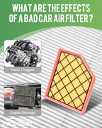 Cabin Air Filter and Engine Air Filter Fit - Image 4